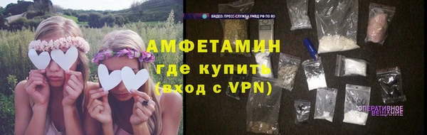 сатива Дмитровск