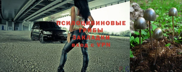 сатива Дмитровск