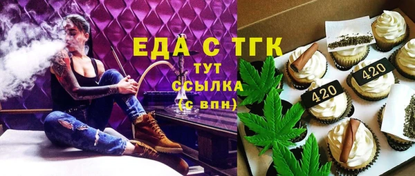 хмурый Дмитров