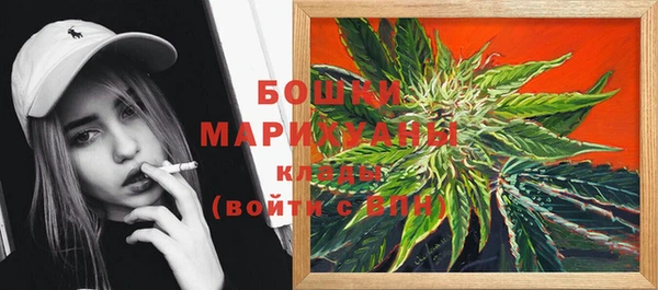 хмурый Дмитров