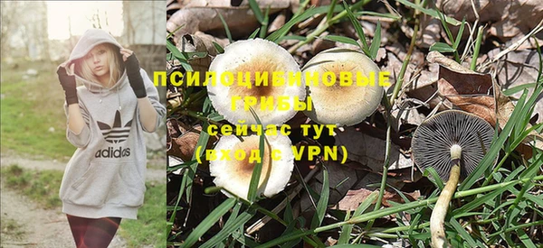 MDMA Premium VHQ Дмитриев