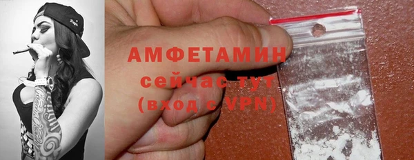 хмурый Дмитров