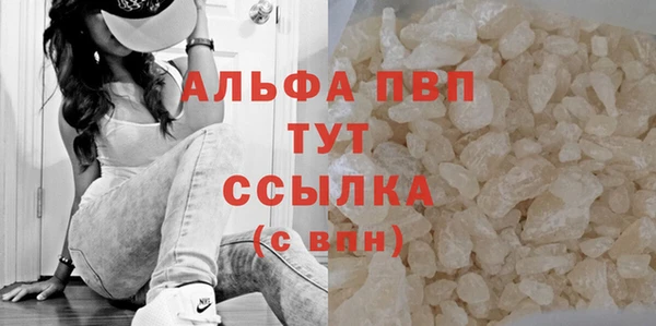 хмурый Дмитров