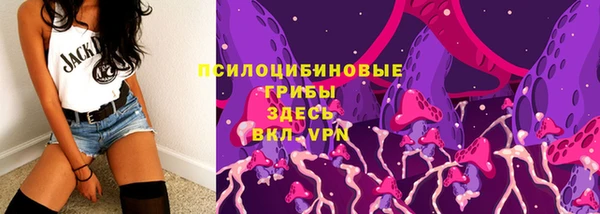 хмурый Дмитров