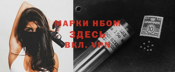 хмурый Дмитров
