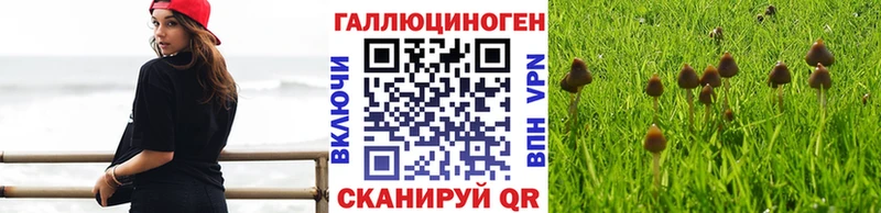 Галлюциногенные грибы Psilocybe  Купить где  Сортавала 